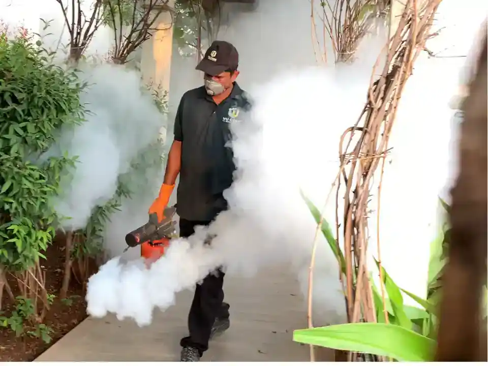 Mosquito Control Service