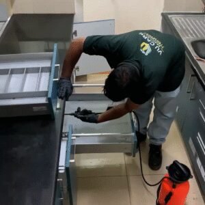 General Pest Control Service (Cockroaches)