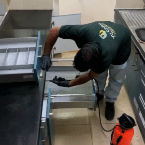 General Pest Control Service (Cockroaches)