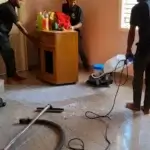 Pest Control Services in Malleswaram What Actually Works for Homes