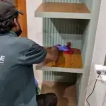 VU Care Services Pest Control in Whitefield Bangalore (What I Noticed)