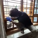 Pest Control in Koramangala Bangalore – What People Usually Realize Late