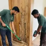 Effective Termite Control in Bangalore: Protecting Your Property with VU Care Services