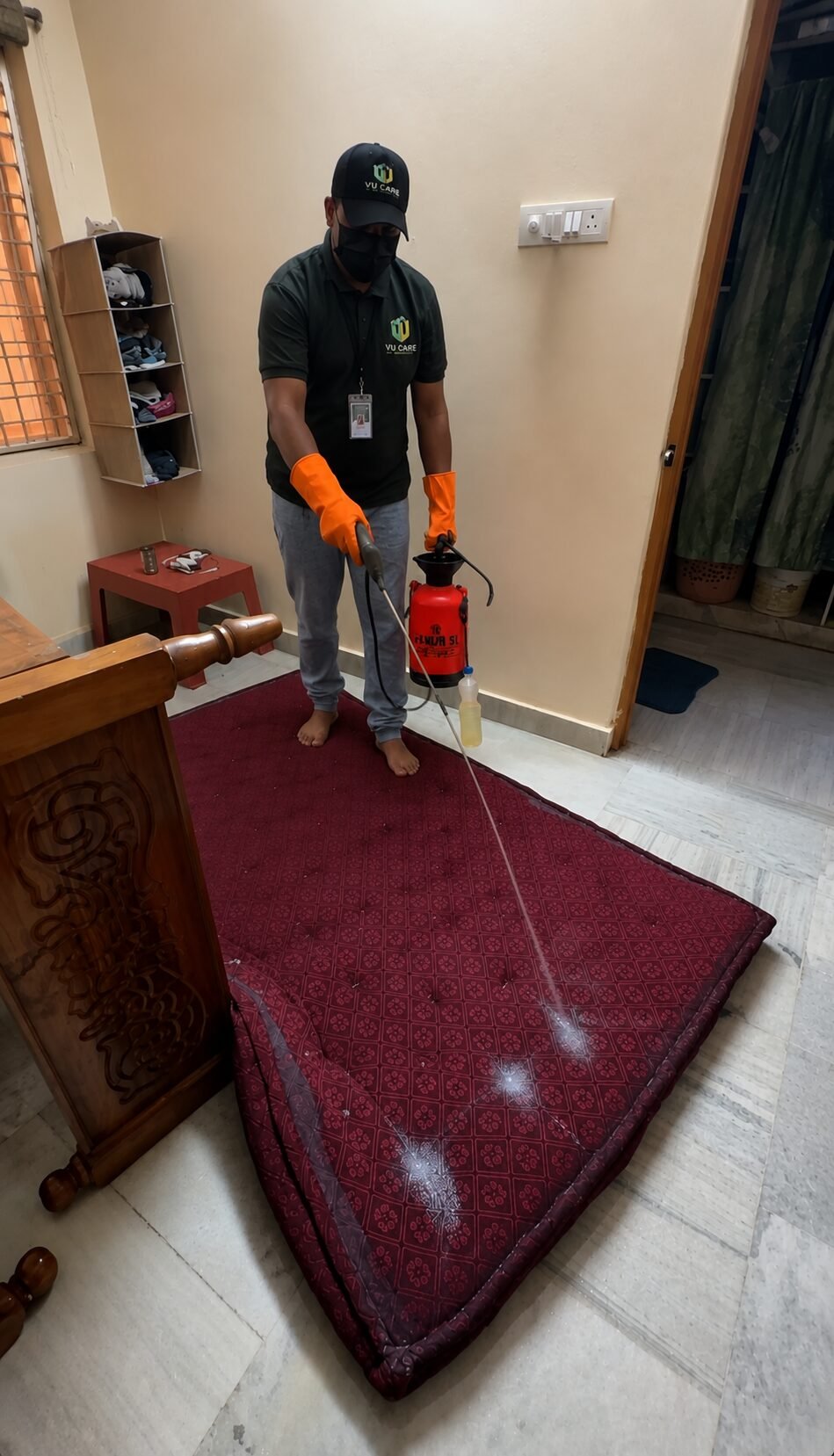 Bed Bug Control Service - Image 2